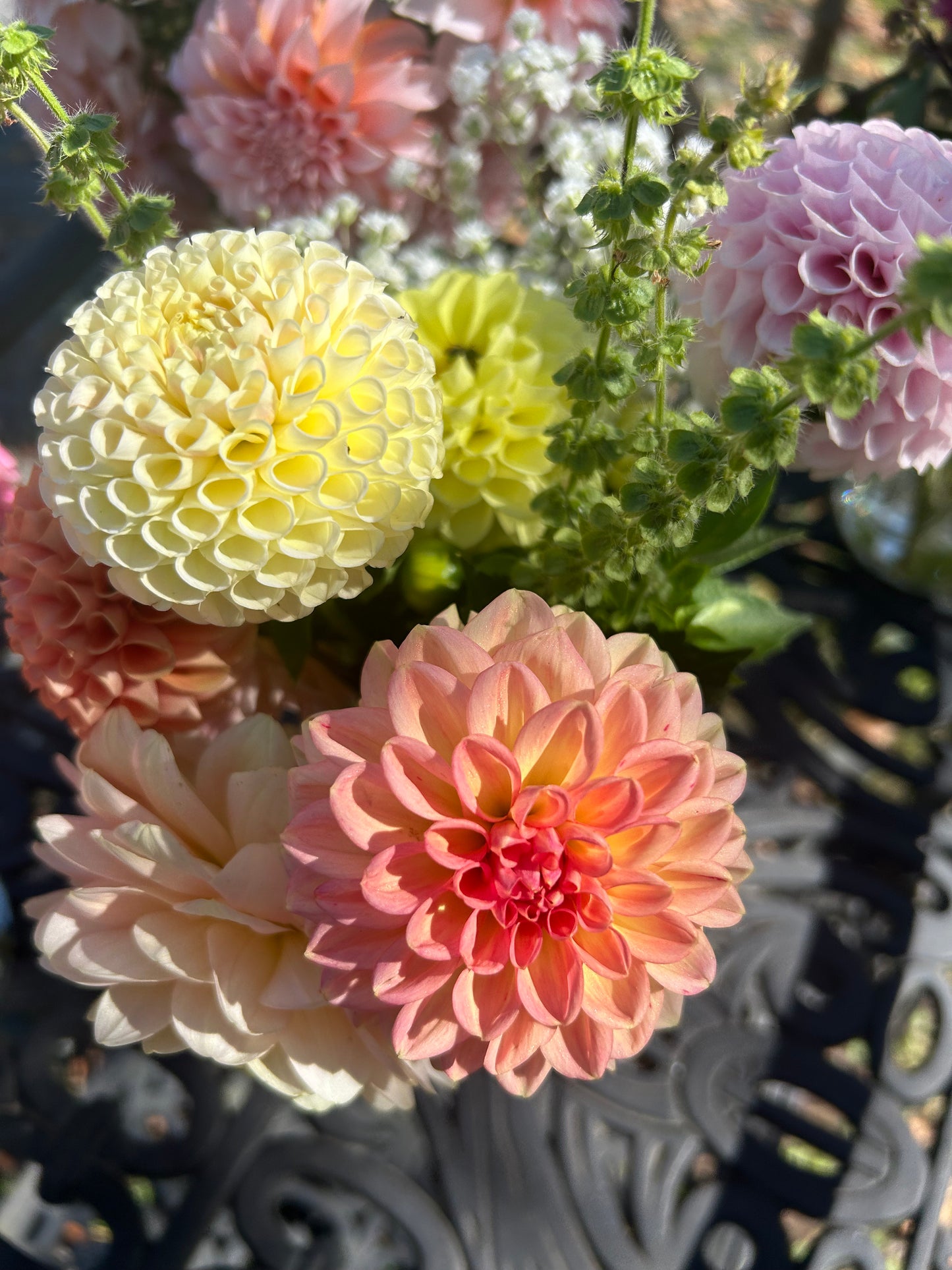 5 weeks of Dahlia Bouquets - DELIVERED