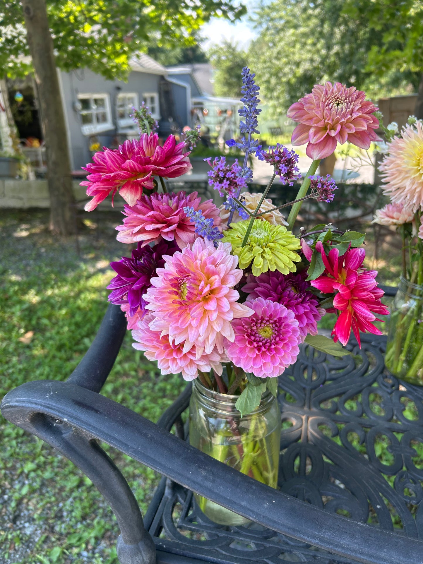 1 Dahlia Bouquet - DELIVERED