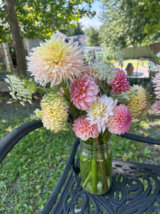 5 weeks of Dahlia Bouquets - DELIVERED